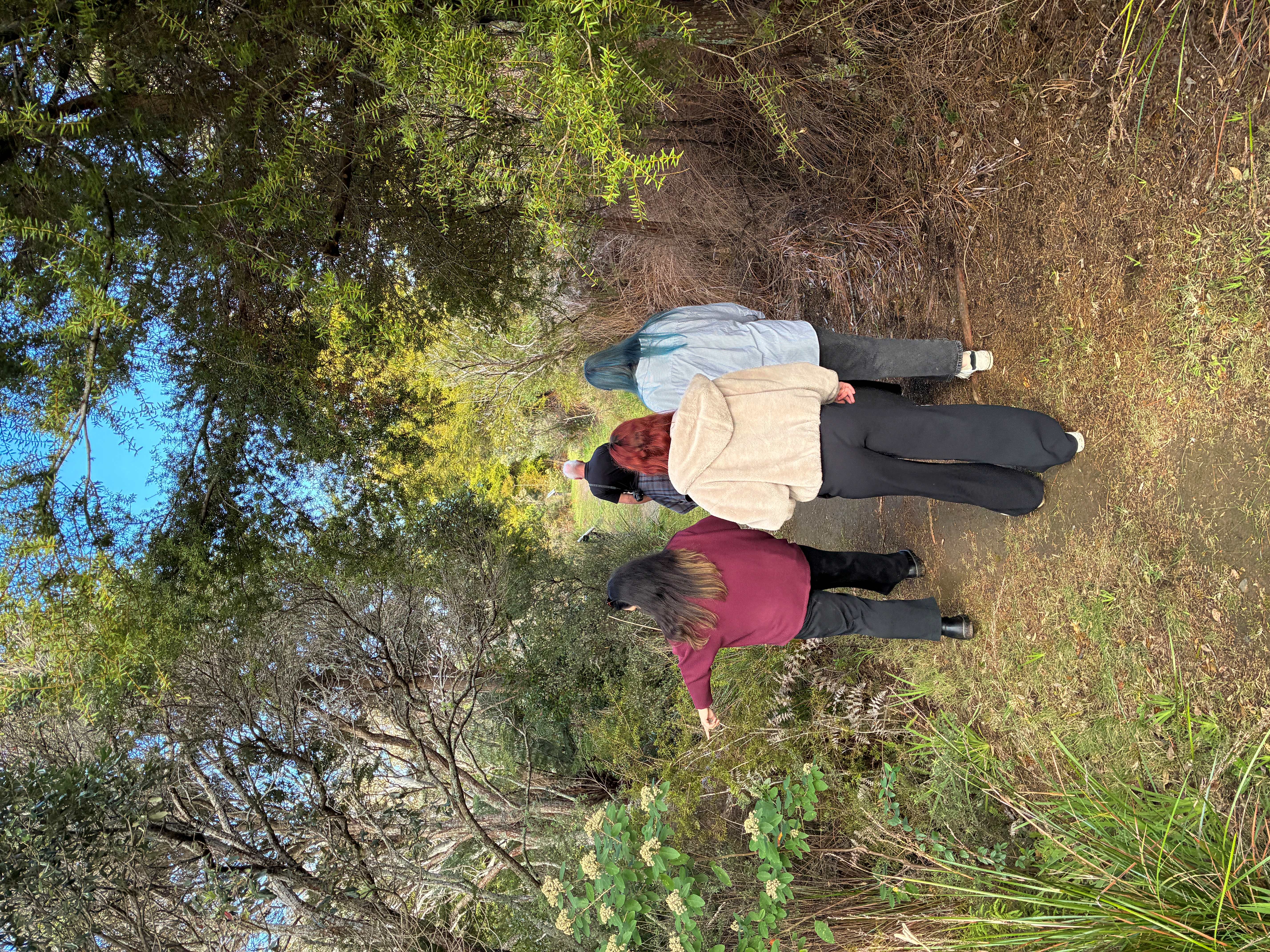 A small groups with their back to the camera walks along a trail in a park. One person points to the side. 